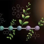  Изменения по гардеробу и требованиям к вещам